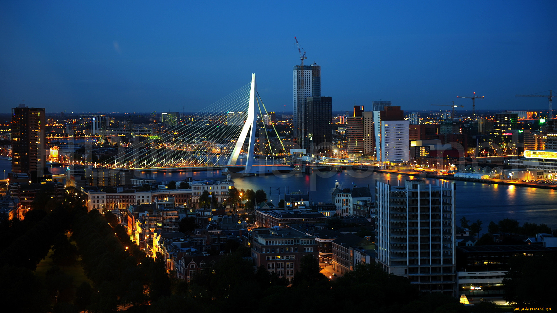 rotterdam netherlands, , -   , rotterdam, netherlands